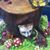 Will Heuss's profile image