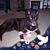 Lisa Seymour's profile image