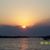 Michael Amy Morris's profile image