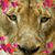 Barbee Bergan's profile image