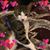 Kathleen O'Reilly Whipple's profile image
