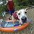 Stacey Savens Wilund's profile image