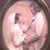 Peter Oleynichak's profile image