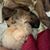 Mary Kniskern's profile image