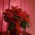 Laurie Hartwig's profile image