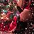 Karen Clenney's profile image