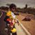 Fonda Hamilton-Insley's profile image