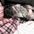 Judy Choy Magaha's profile image