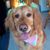 Ann Marie Cooke's profile image