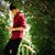 Naeem Haidary's profile image