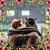 Barbara Rials Reichard's profile image