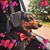 Tanya Lasyone Millican's profile image