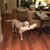 Elizabeth Mastro's profile image