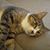 Ed Washburn's profile image