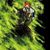 Nurun Nabi's profile image