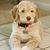 Stacey Davies Owens's profile image