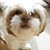 Gidget Dabson's profile image