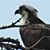 Cynthia A Thompson's profile image