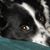 Deb Mazio's profile image