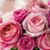 Sandra Haiman's profile image