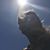 Maija Walters Stutsman's profile image