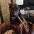 Christopher Schadler's profile image