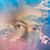 Regina Sneed York's profile image