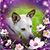 Gail Sherwood's profile image