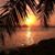 Mary Furey's profile image
