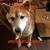 Renee Youngberg's profile image
