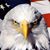 Kelly Garrett's profile image