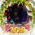 Lorraine Taverna Fegan's profile image