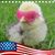 Linda Calabrese Syrocki Bell's profile image