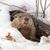 Jeff Clack's profile image