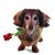 Gladie Benevides Mitchell's profile image