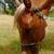 Tallah Keffer's profile image