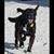 Rick VanSchuyver's profile image