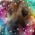 Sabrina Levan's profile image