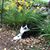 Karen Wasinger's profile image