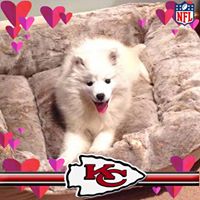 Nancy Bruda's profile image