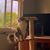 Lisa DiBernardo's profile image