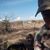 Pedro Ortiz Leal's profile image