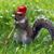 Bob Hysell's profile image