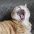 Leona Glabicki's profile image