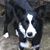 Linda Petersen's profile image