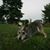 Km Gorham's profile image