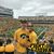 Zach Rosonke's profile image