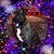 Murphy Davis's profile image