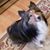 Linda Stockman's profile image