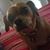 Tim Brosnan's profile image